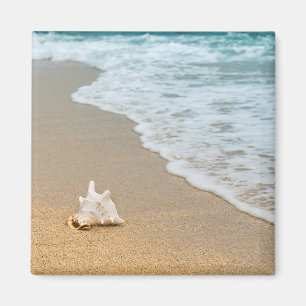 Aimant Coquillage à la plage