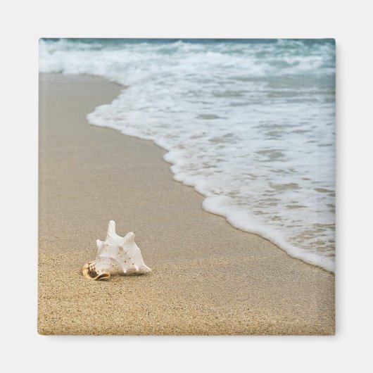 Aimant Coquillage à la plage (Devant)