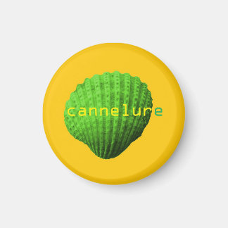 Aimant coquillage cannelure