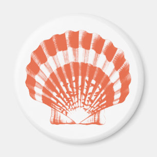 Aimant Coquillage - corail orange et blanc