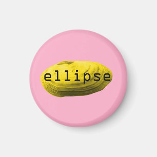 Aimant Coquillage. Ellipse