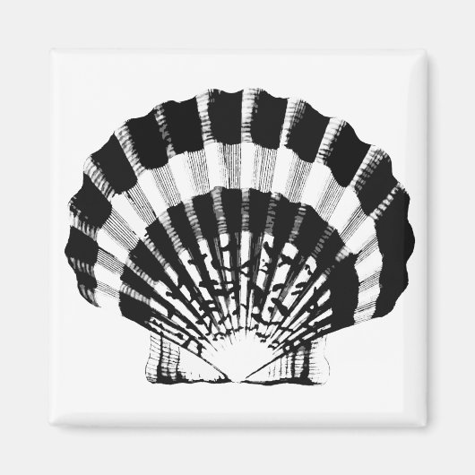 Aimant Coquillage - noir et blanc (Devant)