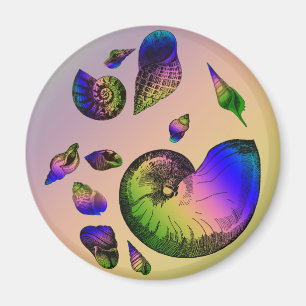 Aimant Coquillages