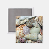 Aimant coquillages (Recto/Verso)