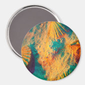 Aimant Coquillages, Coques De Jambes, Coques De Cocktails (Recto/Verso)