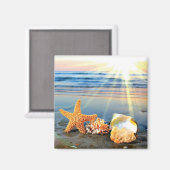 Aimant Coquillages marins et étoiles de mer sur la plage (Recto/Verso)