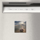 Aimant Coquille De Conche À La Plage | St. Augustine, Fl (In Situ (Lave-vaisselle))