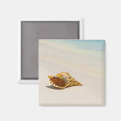 Aimant Coquille De Conche Sur La Plage 3 (Recto/Verso)