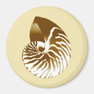 Aimant Coquille de Nautilus - marron, blanc et beige
