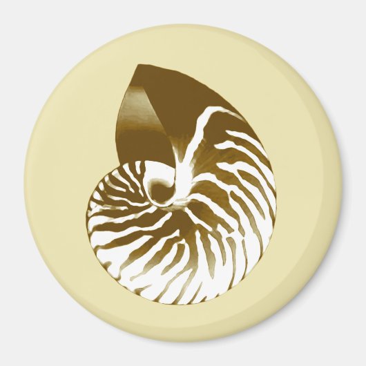 Aimant Coquille de Nautilus - marron, blanc et beige (Devant)
