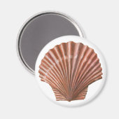 Aimant Coquille de saint Jacques (Recto/Verso)