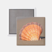 Aimant Coquille de Saint-Jacques| Crète, Grèce (Recto/Verso)