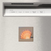 Aimant Coquille de Saint-Jacques| Crète, Grèce (In Situ (Lave-vaisselle))