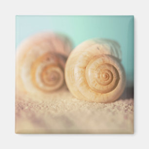 Aimant Coquilles de Nautilus sur la plage