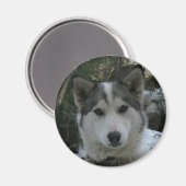 Aimant coquin (Recto/Verso)