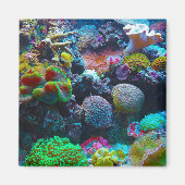 Aimant Corail coloré (Devant)