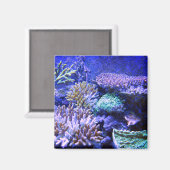 Aimant Corail récif tropical Caraïbes bleu vert pourpre (Recto/Verso)