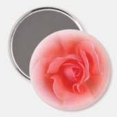 Aimant corail rose rose (Recto/Verso)