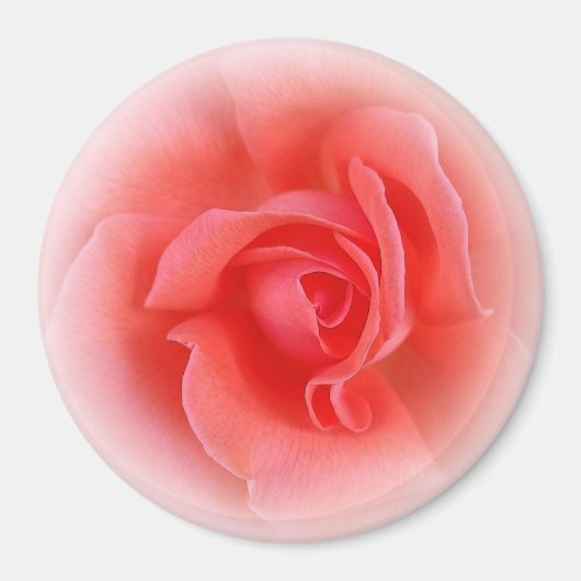 Aimant corail rose rose (Devant)