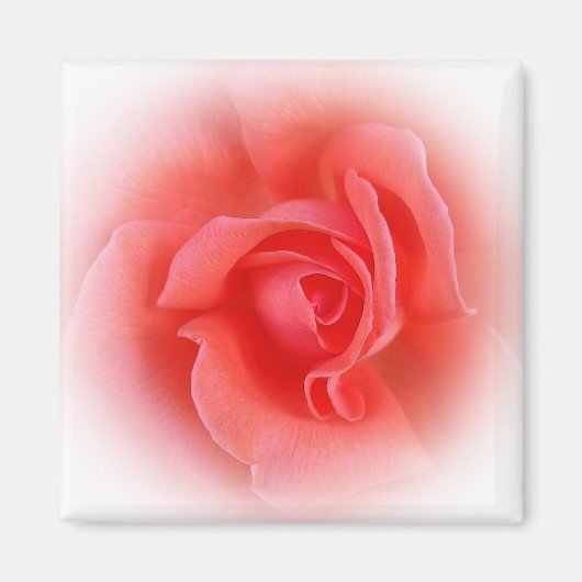 Aimant corail rose rose (Devant)