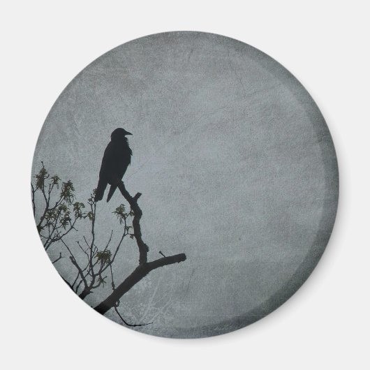 Aimant Corbeau (Devant)