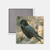 Aimant corbeau (Recto/Verso)