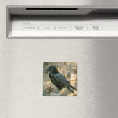 Aimant corbeau (In Situ (Lave-vaisselle))