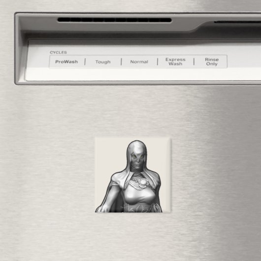 Aimant Corbeau (In Situ (Lave-vaisselle))