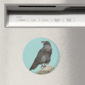 Aimant Corbeau (In Situ (Lave-vaisselle))