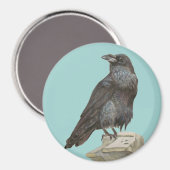Aimant Corbeau (Recto/Verso)