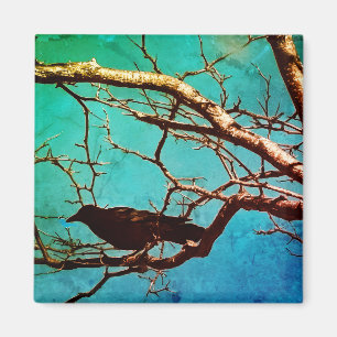 Aimant Corbeau noir Corbeau Arbre argenté Photo