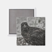 Aimant Corbeau P9239 (Recto/Verso)