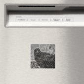Aimant Corbeau P9239 (In Situ (Lave-vaisselle))