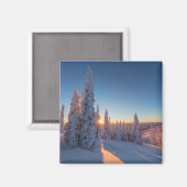 Aimant Corégone, Montana (Recto/Verso)