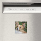 Aimant Corgi beau (In Situ (Lave-vaisselle))