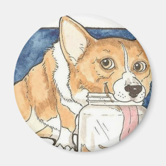Aimant Corgi lécher le pot de beurre d'arachide