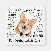 Aimant Corgi Traits (Devant)