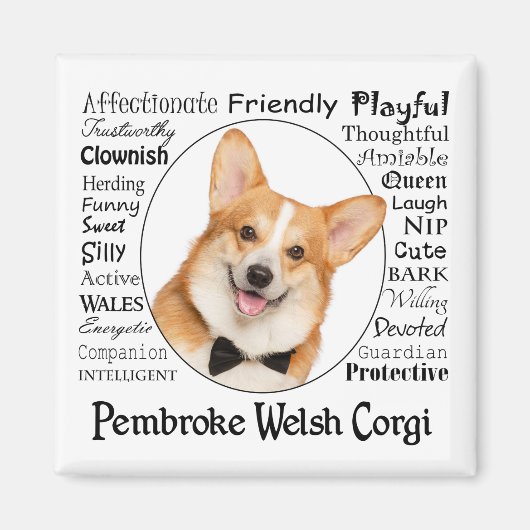 Aimant Corgi Traits (Devant)