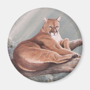 Aimant Corle-puma de Don