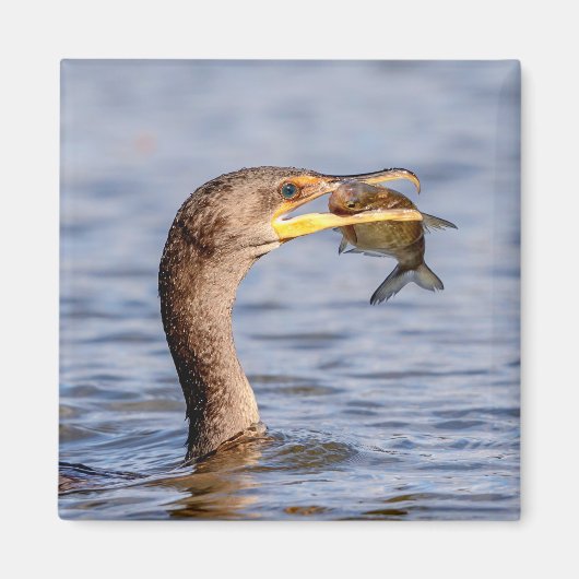 Aimant Cormoran avec un poisson (Devant)