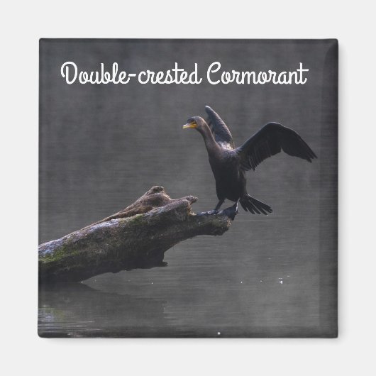 Aimant Cormorant à aigrettes (Devant)