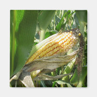 Corne de campagne