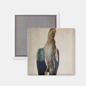 Aimant Corneille bleue, 1512 (Recto/Verso)