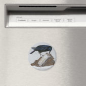 Aimant Corneille et Harmonica (In Situ (Lave-vaisselle))