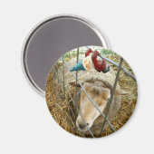 Aimant Cornelius et le mouton (Recto/Verso)