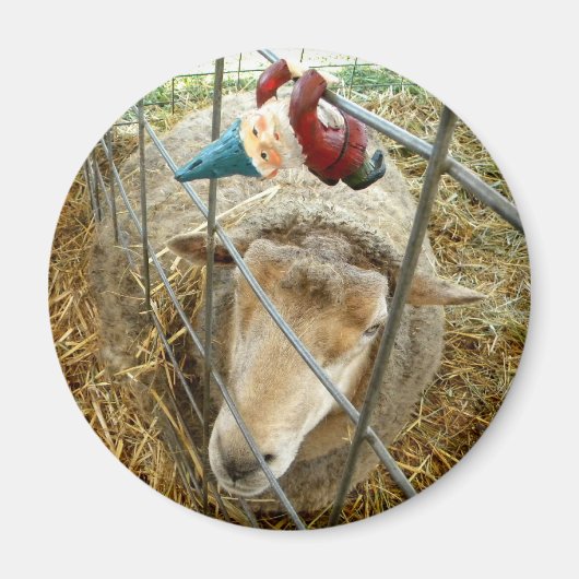 Aimant Cornelius et le mouton (Devant)