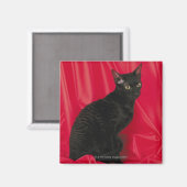 Aimant Cornish rex (Recto/Verso)