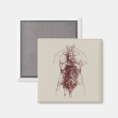 Aimant corps intérieur (Recto/Verso)