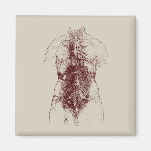 Aimant corps intérieur (Devant)