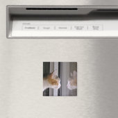 Aimant Correctifs (In Situ (Lave-vaisselle))